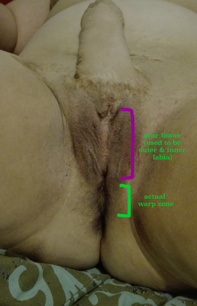 vagina is where